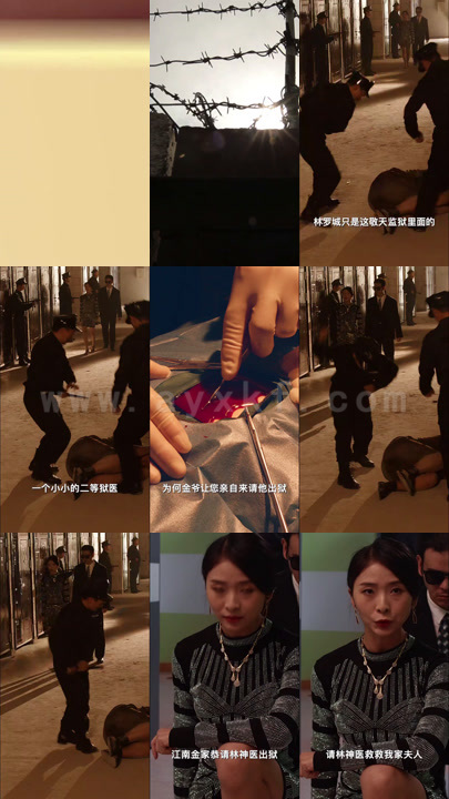 611-逆命神医-96集