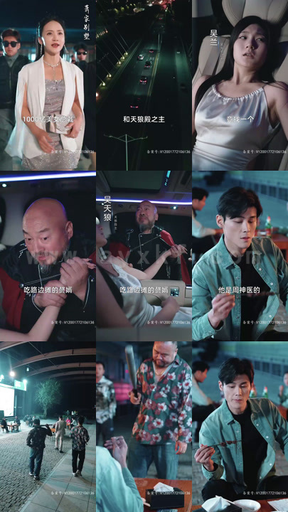 21-绝世医神(95集)