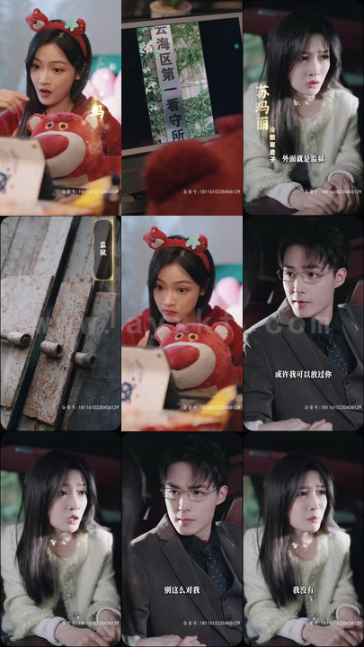 25-穿书虐恋女主要反击(98集)