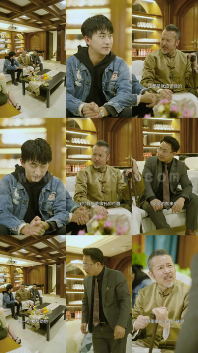 26-豪门契约赘婿(82集)