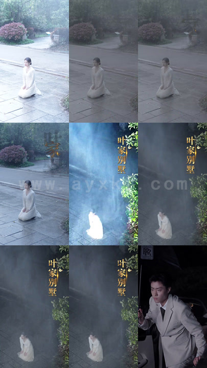 1190-蚀骨情结(80集)