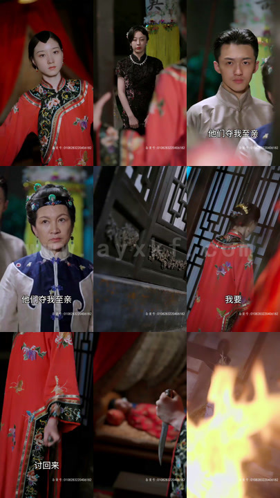 17-浴火女凰(71集)