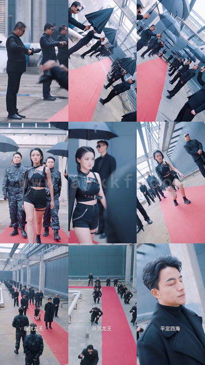 逆天龙婿：长篇