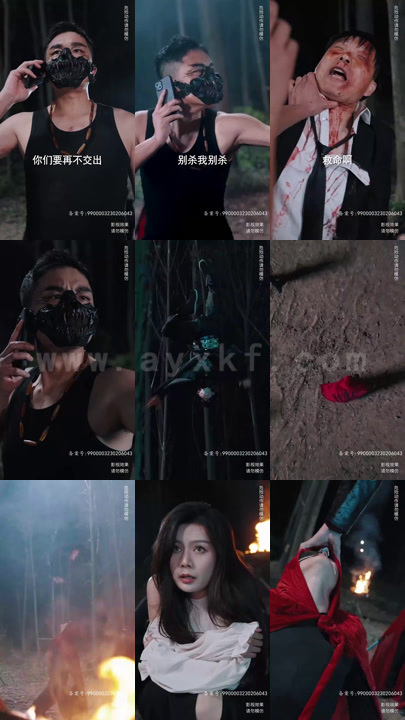 17-龙啸九疆(100集)