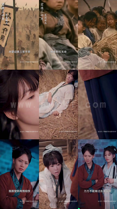 10-盛世如你所愿(36集)