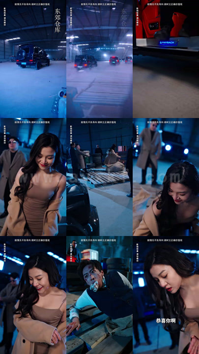 11-美女总裁独宠我(92集)