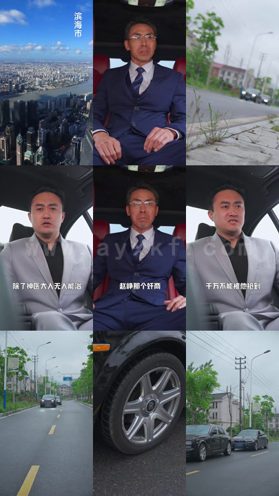 1308-圣医潜龙(99集)