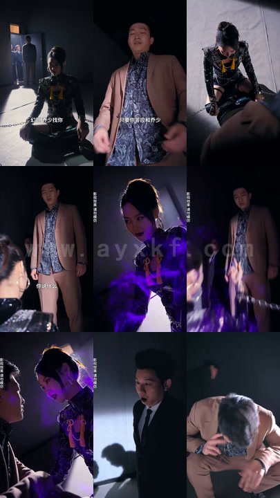 722-凤凰帝尊(80集)