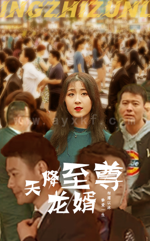 ssd4129-11天降至尊龙婿(165集)