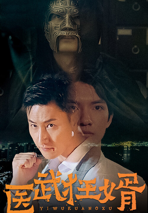 101-医武狂婿-85集