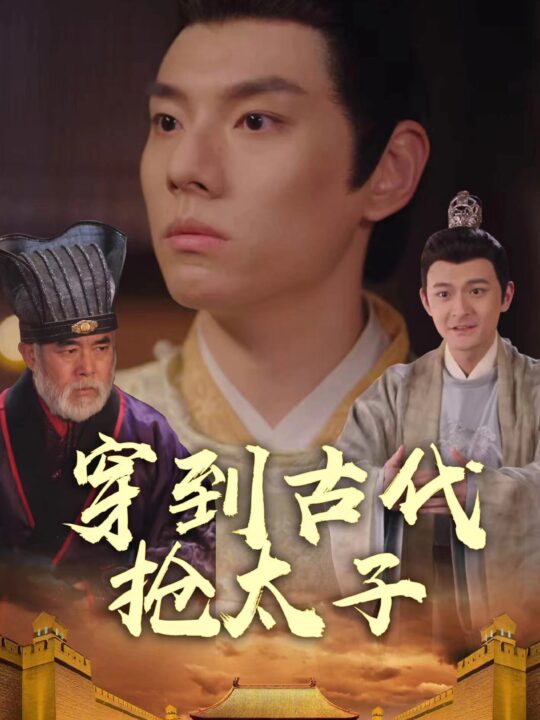 2-穿到古代抢太子(77集)