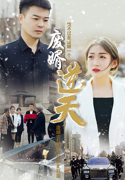 40-废婿逆天-101集