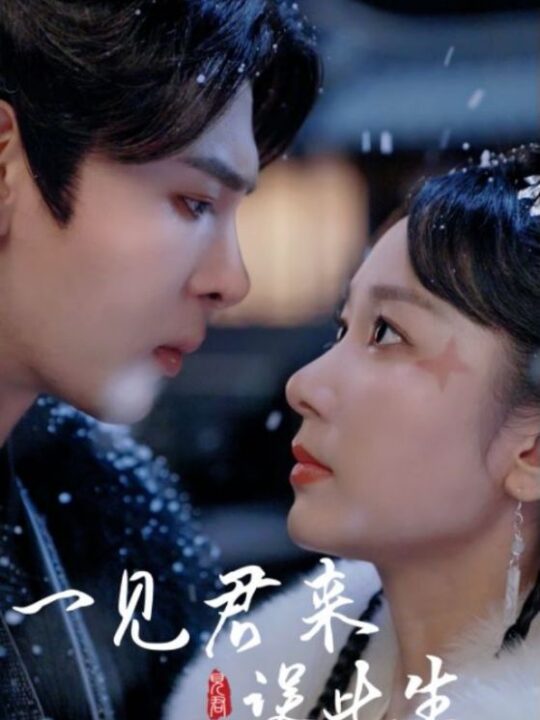 6259-一见君来误此生(95集)