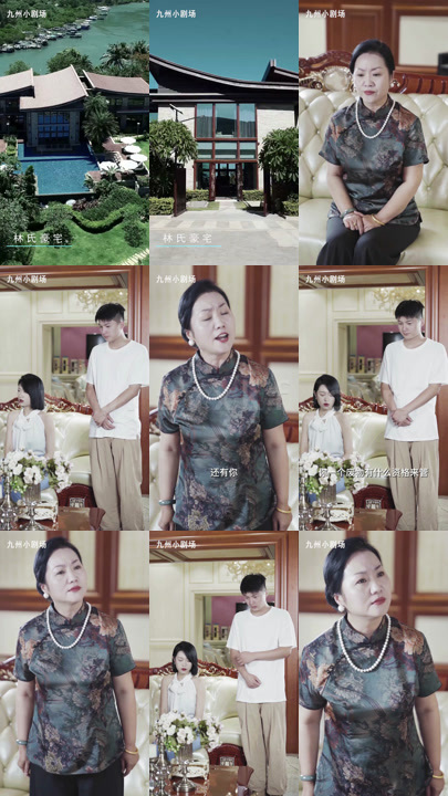 294-女总裁的替身赘婿-83集