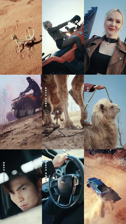 844-镇世骄龙(71集)