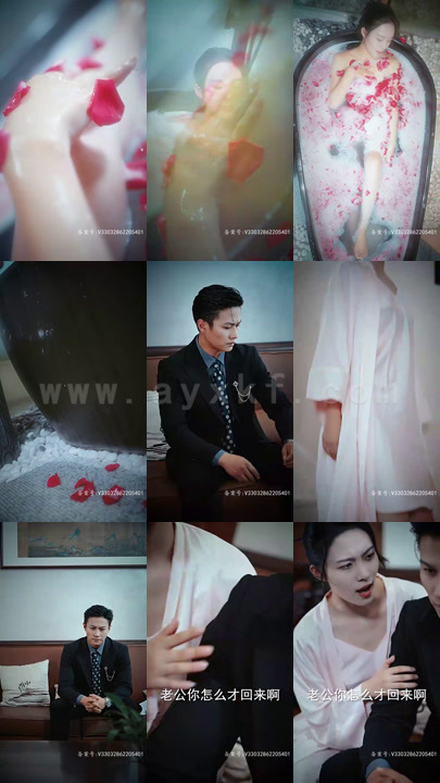 霍时砚本小姐不伺候了 最新 图1张