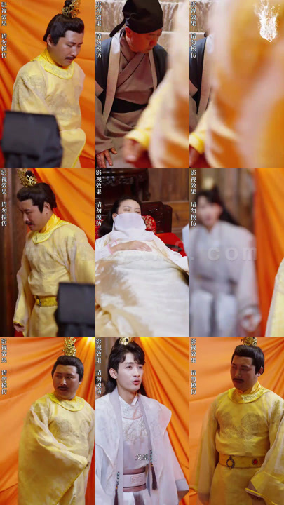 1065-医妃倾天下