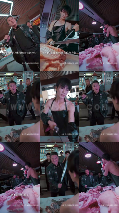 13-北凉捍刀(81集)北凉悍刀