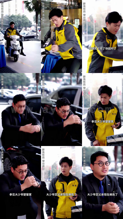 871-上门豪婿(94集)