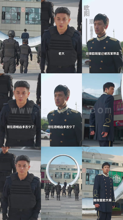 1073-最强龙帅(99集)