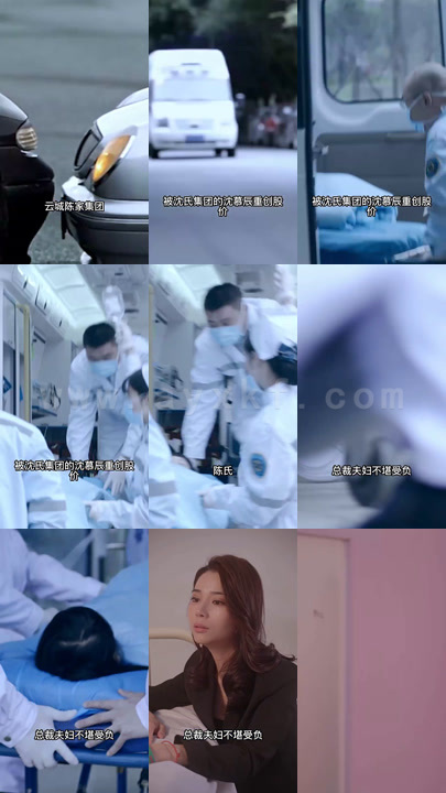 2-且以深情度此生(31集)