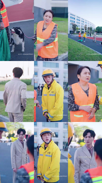 9-一掌乾坤(31集)