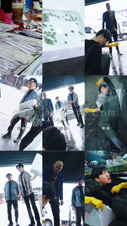 828-卖鱼我成了首富(99集)