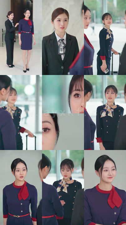 619-时机长-夫人开飞机跑了(37集)