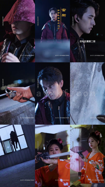 2629-女总裁的贴身强兵(100集)