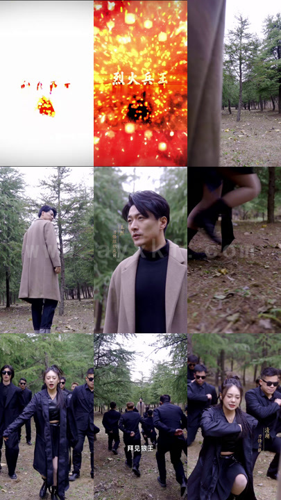 336-烈火兵王-98集