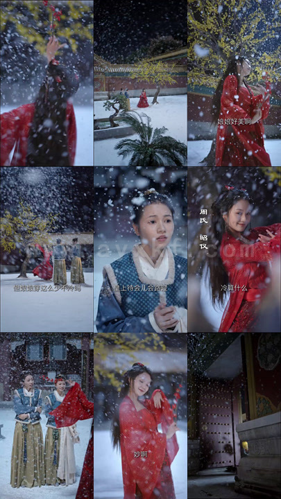 13-黑莲花上位手册(120集)-智者不入爱河-娘娘拆桥过河 内容图1 一个实时收录全网最齐全的短视频短剧网剧小剧场的网站! 13-黑莲花上位手册(120集)-智者不入爱河-娘娘拆桥过河 最新 图1张