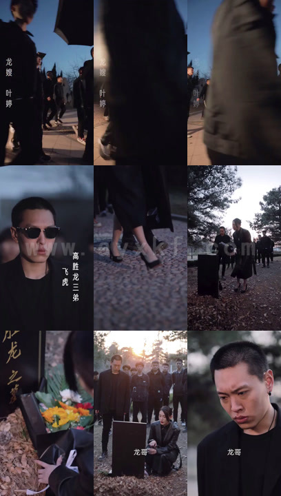 1037-狂飙之风云龙嫂(100集)