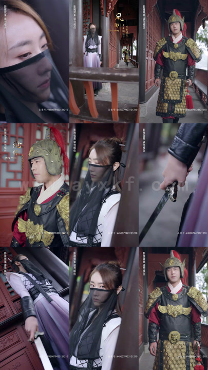 29-哎呀叶总夫人是刺客(79集)