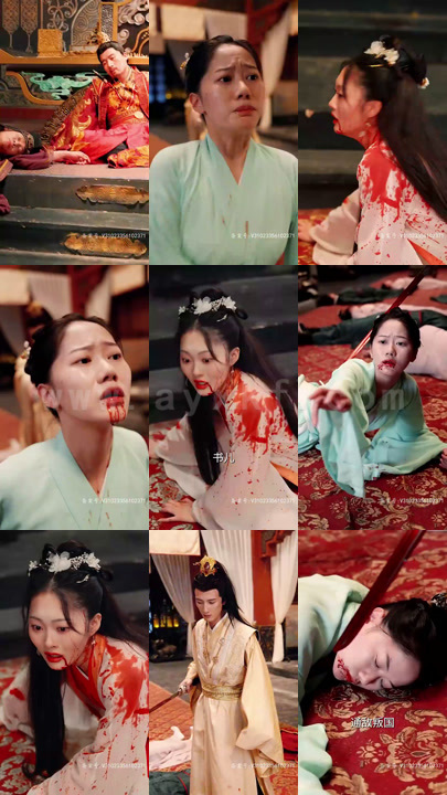 8-血染风华毒妃倾天下(88集) 最新 图1张