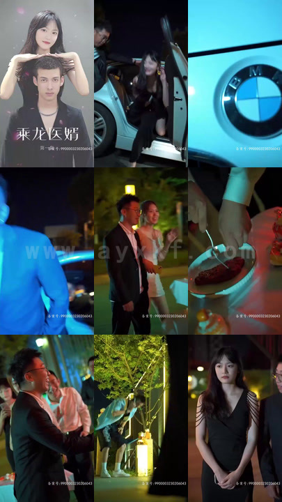 2502-乘龙医婿(60集)