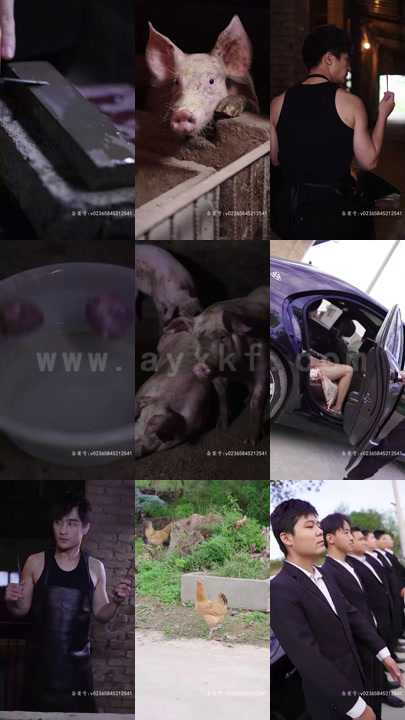 13-前任之亢龙有悔(分手后-女友抱着大腿求复合)(57集) 最新 图1张