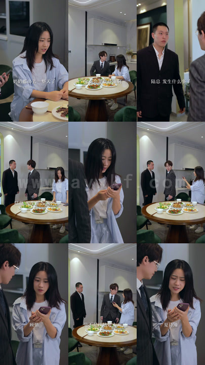 5-陆总-夫人又来报复您了(100集)