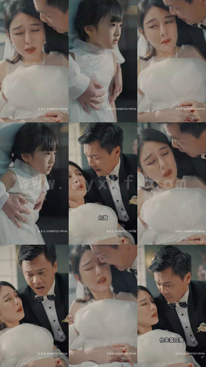 22-抑郁症女儿跳楼后-我重生了(重启2003之香江风云)(88集) 最新 图1张