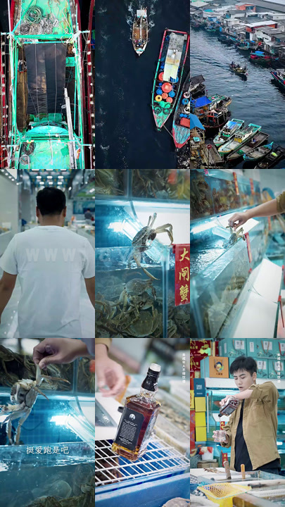 14-书梦奇缘(100集) 内容图1 一个实时收录全网最齐全的短视频短剧网剧小剧场的网站! 14-书梦奇缘(100集) 最新 图1张