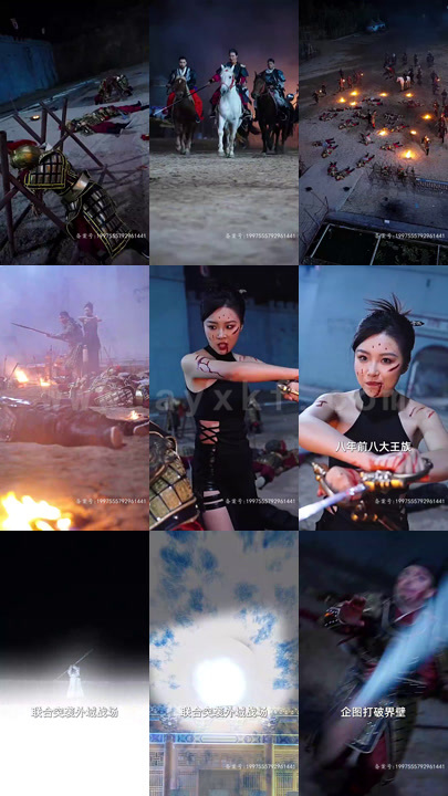 4-风起大夏(80集)