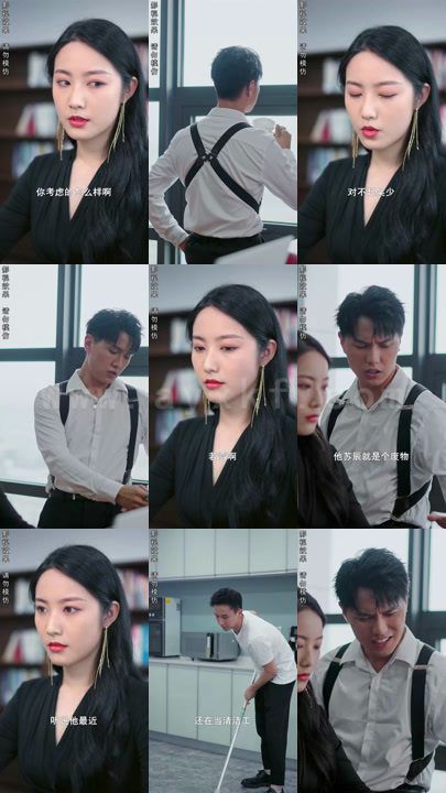 4.女总裁的神豪女婿（100集） 最新 图1张