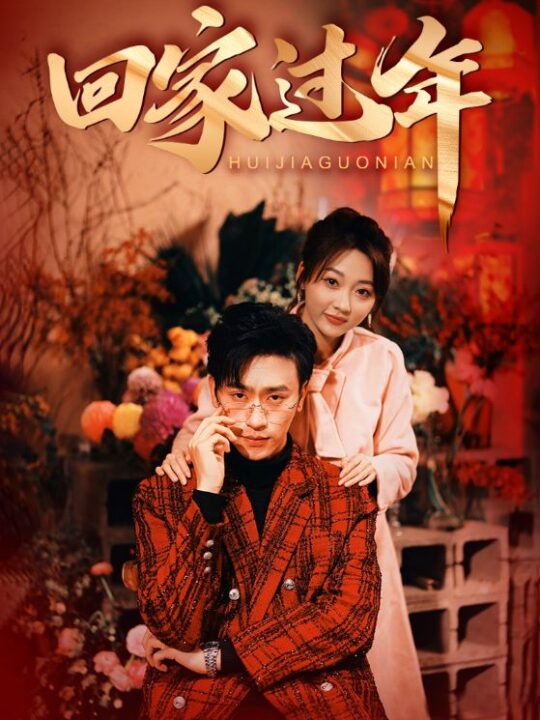 4-回家过年(74集)