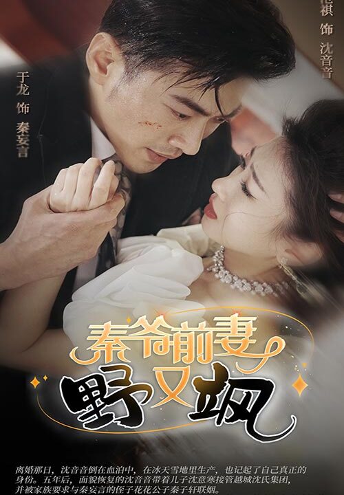 24-秦爷前妻野又飒(100集)