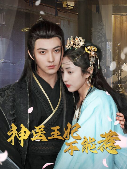 19-神医王妃不能惹(99集)