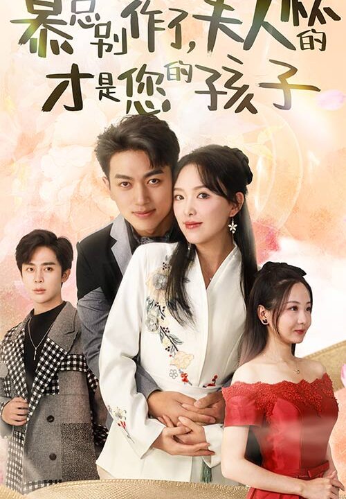 2-慕总别作了-夫人怀的才是您的孩子(90集)