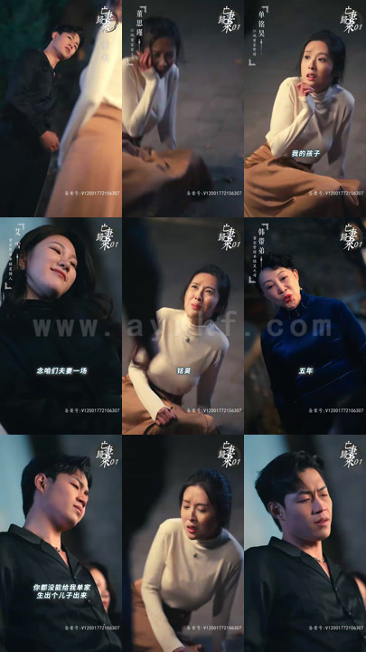 33-亡妻归来(85集)