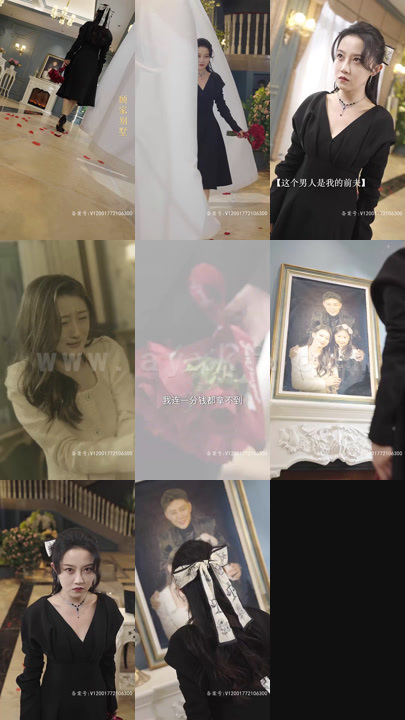 20-前妻的复仇(88集)