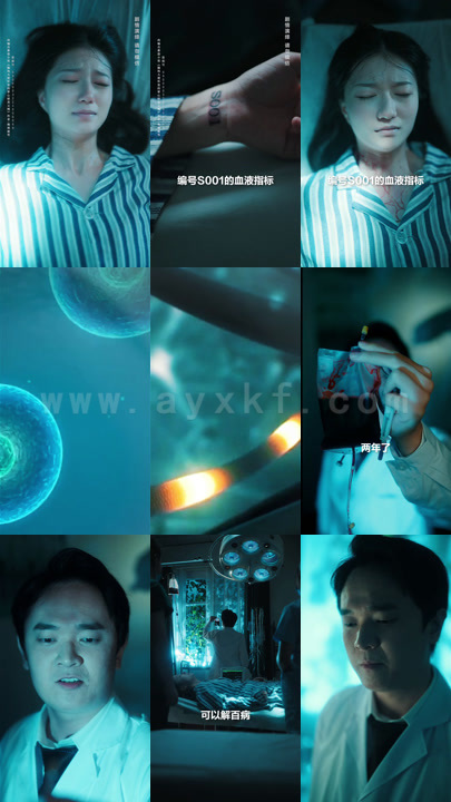 11：捡来的少女是大佬14集全