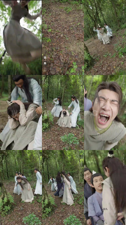 13-大师兄为何不娶我(84集)