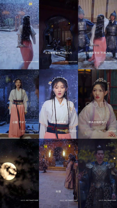 14-换颜-惊颜(81集)